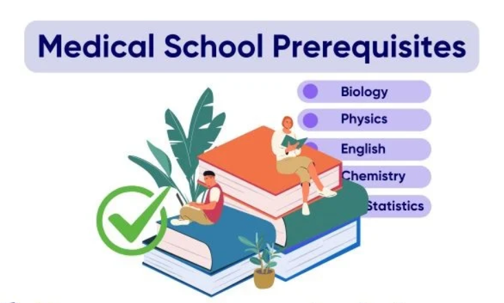 Exchange programs & Collaborations 