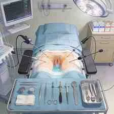 Anatomy