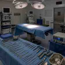 Anatomy