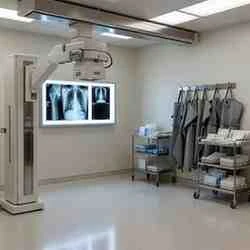 Anatomy