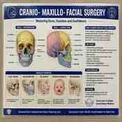 Anatomy