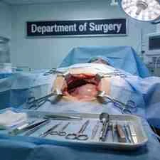 Anatomy
