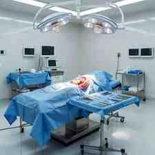 Anatomy