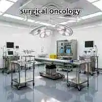 Anatomy