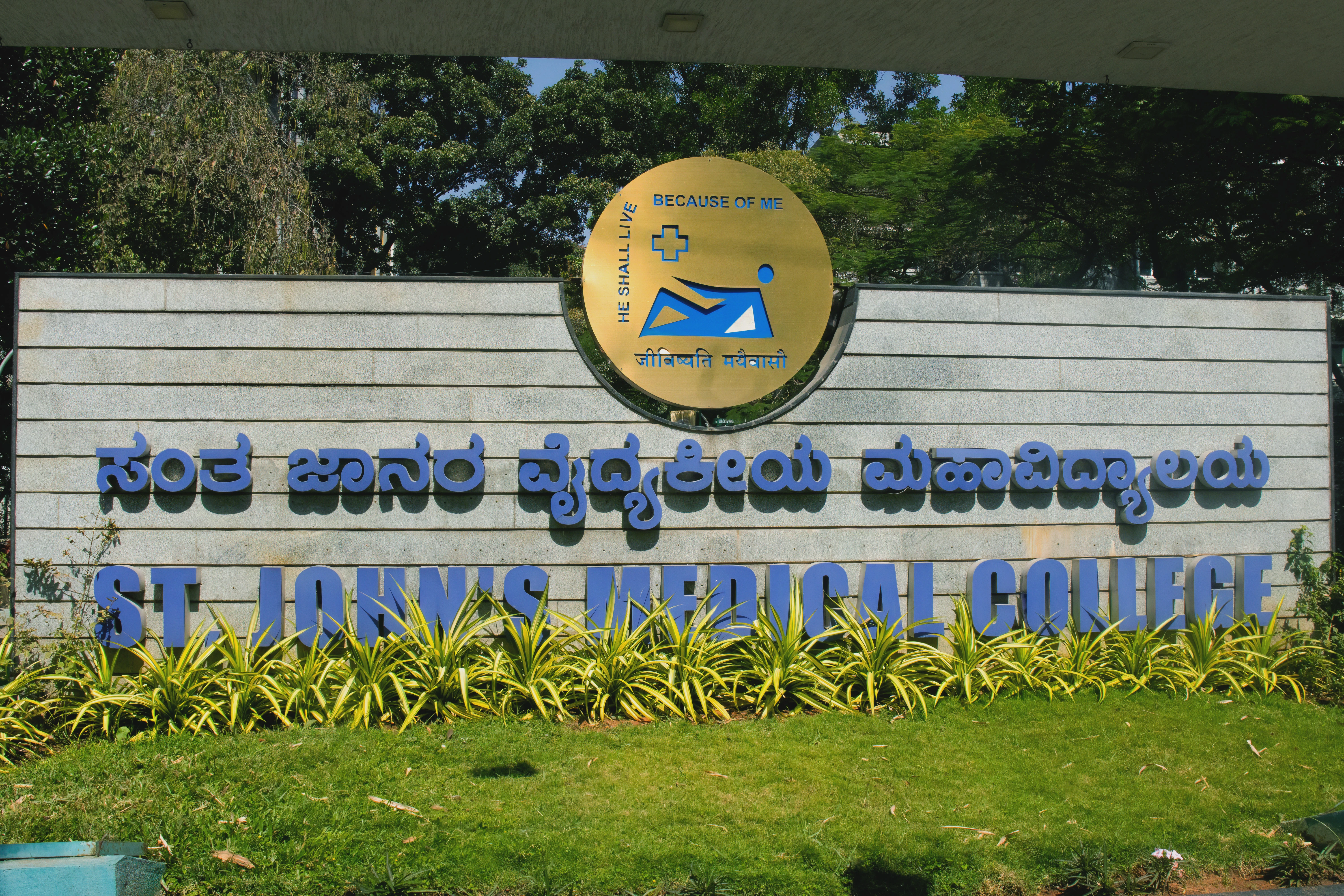 60+ Years of Excellence in Healthcare Education 